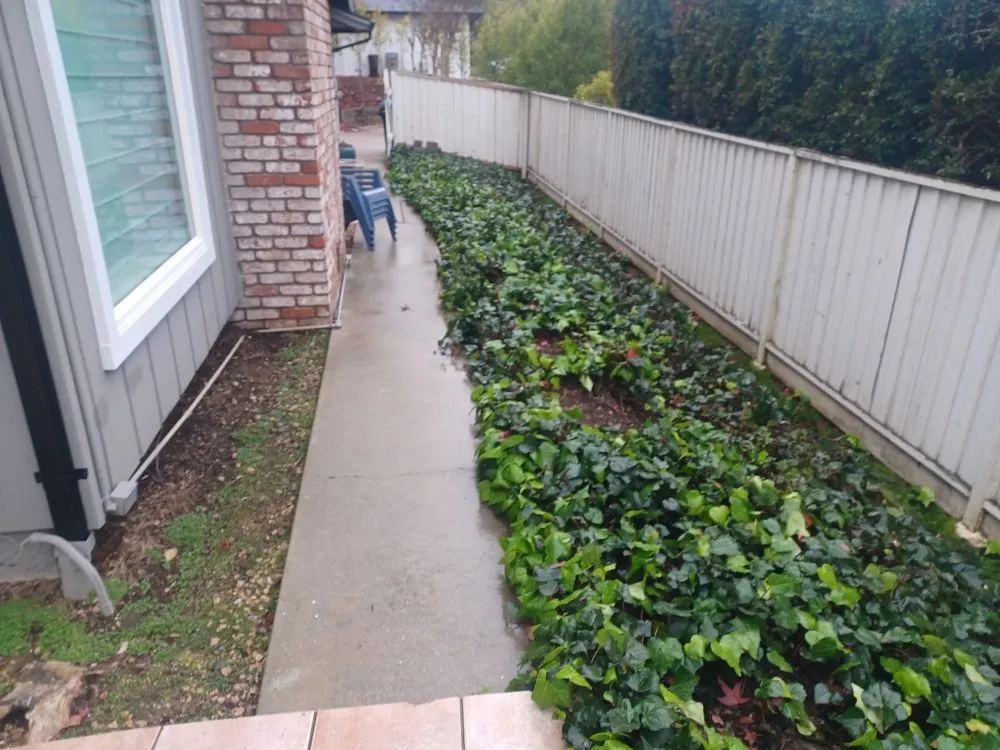 Expert yard maintenance for beautiful yards in San Jose, CA by J & J LandScape