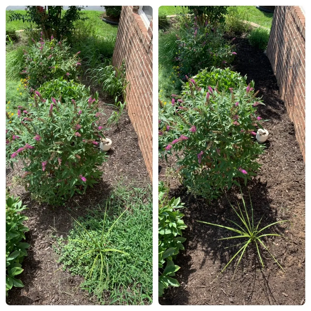 Custom lawn mowing service experts serving Ashburn, VA - J & J Landscape Services