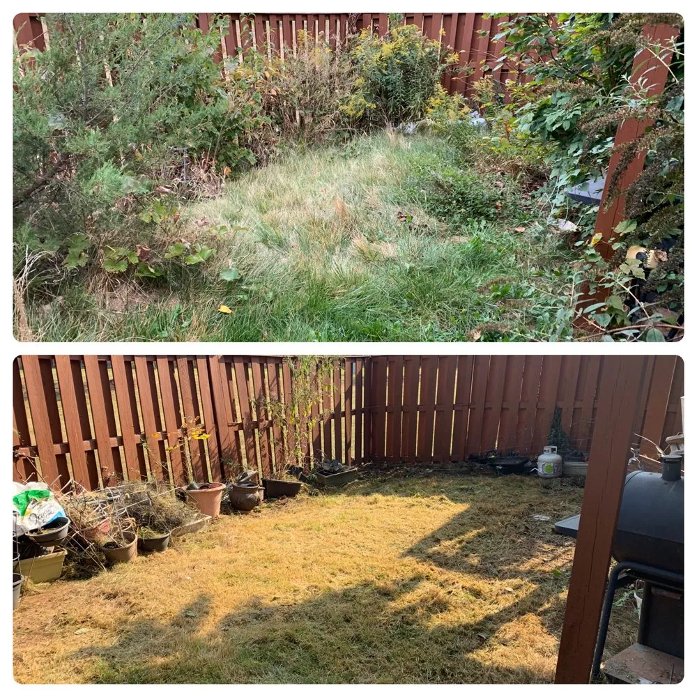 Local lawn care service experts serving Ashburn, VA - J & J Landscape Services