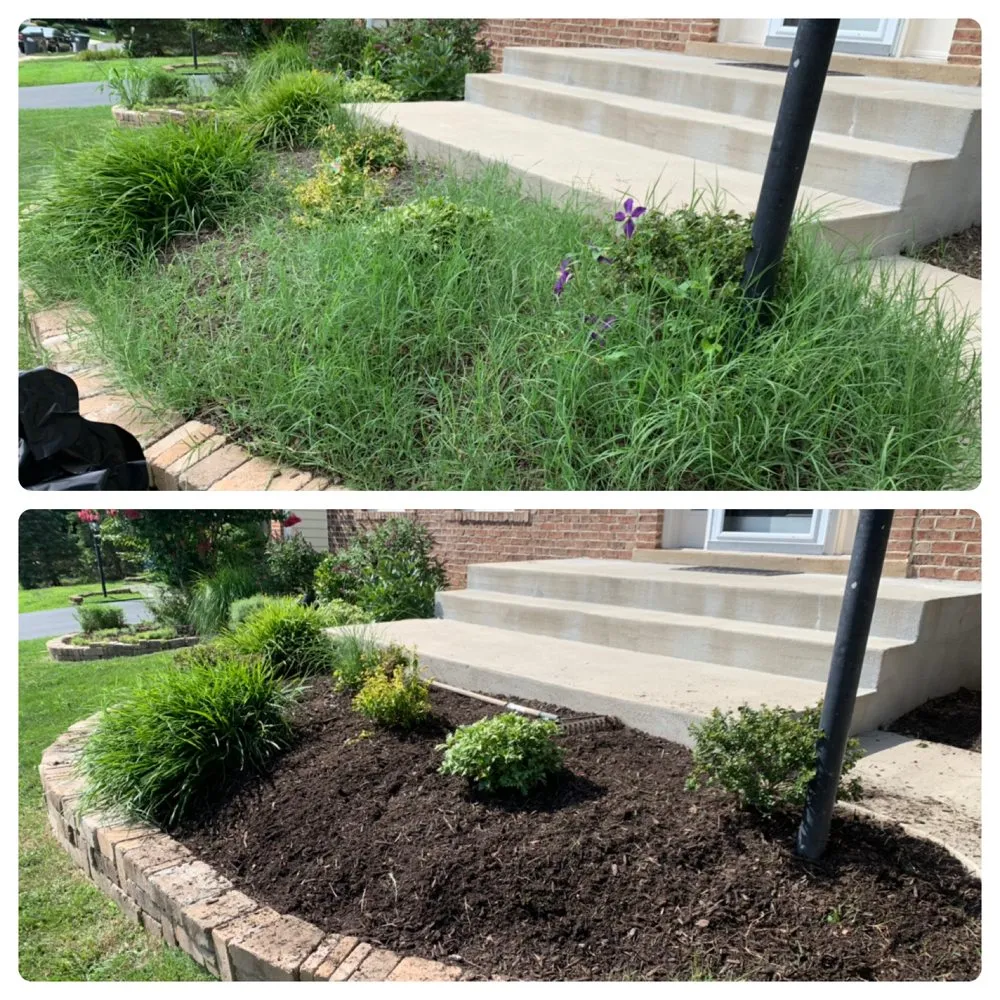 Affordable landscaping services for beautiful yards across Ashburn, VA - J & J Landscape Services