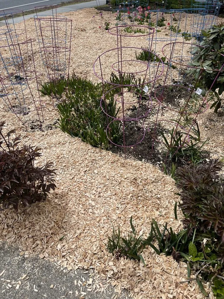 Local outdoor landscaping for residential properties across Waltham, MA - J & J Landscape Supply