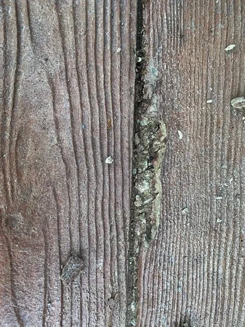 Professional landscape design for residential properties across Rockdale, IL - J & J Landscaping & Construction