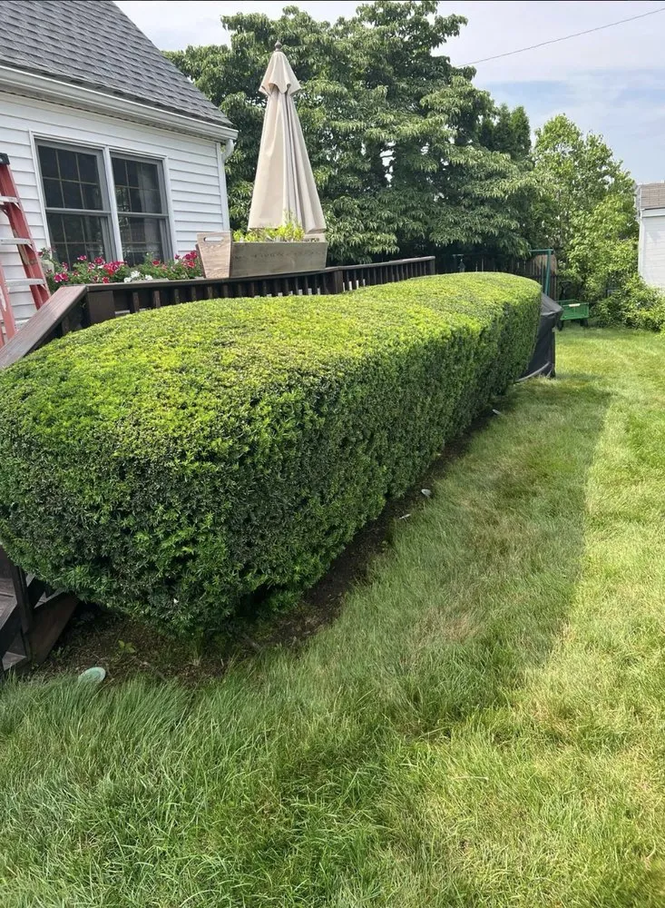 Trusted landscape design in Woburn, MA by J & J Landscaping & Masonry