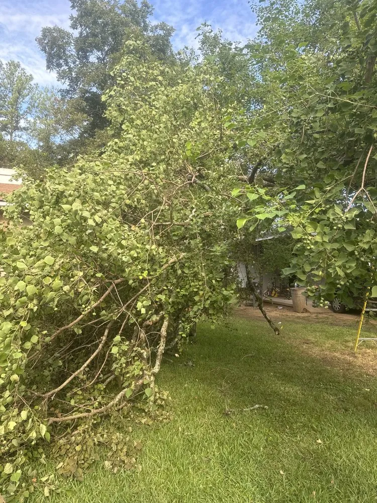 Reliable landscape installation for homes across Brandon, MS - J & J Landscaping & Repairs