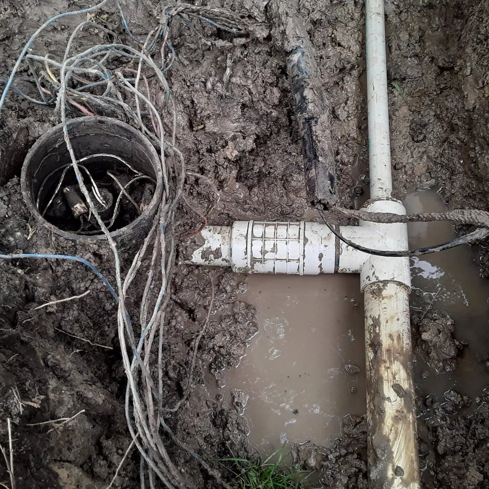 Expert yard cleanup service for outdoor upgrades in Cleveland, TX by J & J Landscaping and More