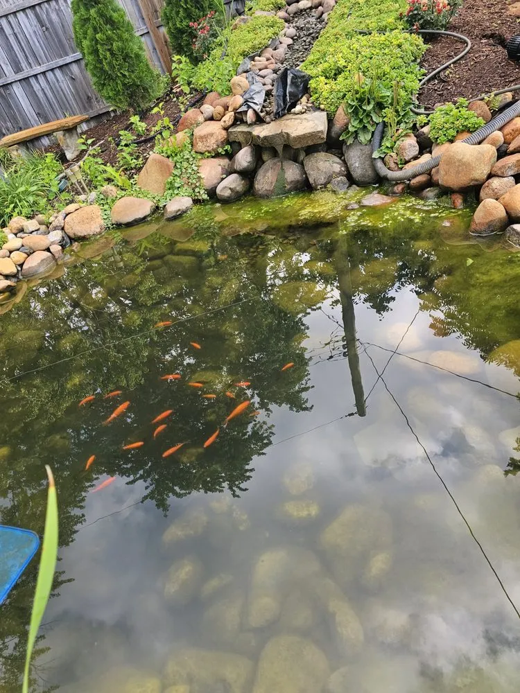 Professional lawn mowing service for residential properties in Bartlett, IL by J & J Landscaping