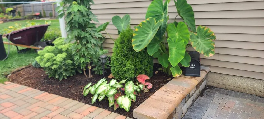 Reliable lawn care service experts serving Bartlett, IL - J & J Landscaping