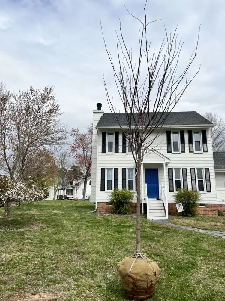 Top-rated outdoor landscaping for outdoor upgrades across Chesterfield, VA - J & J Landscaping