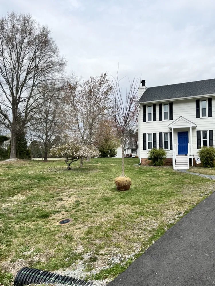 Local lawn care service experts serving Chesterfield, VA - J & J Landscaping