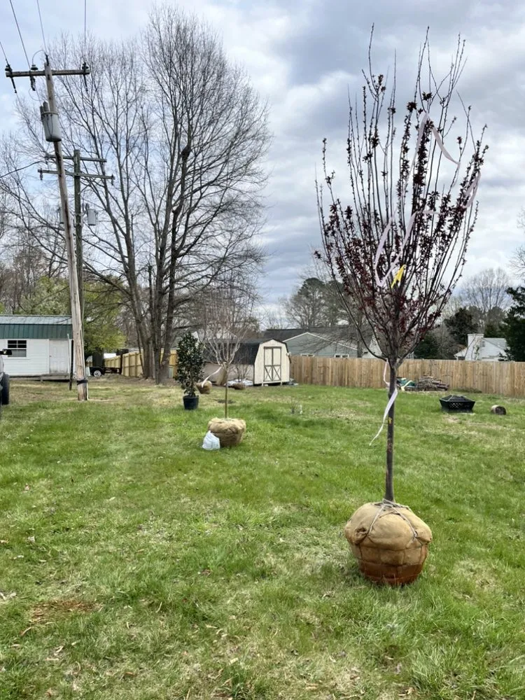 Expert lawn mowing service for beautiful yards across Chesterfield, VA - J & J Landscaping