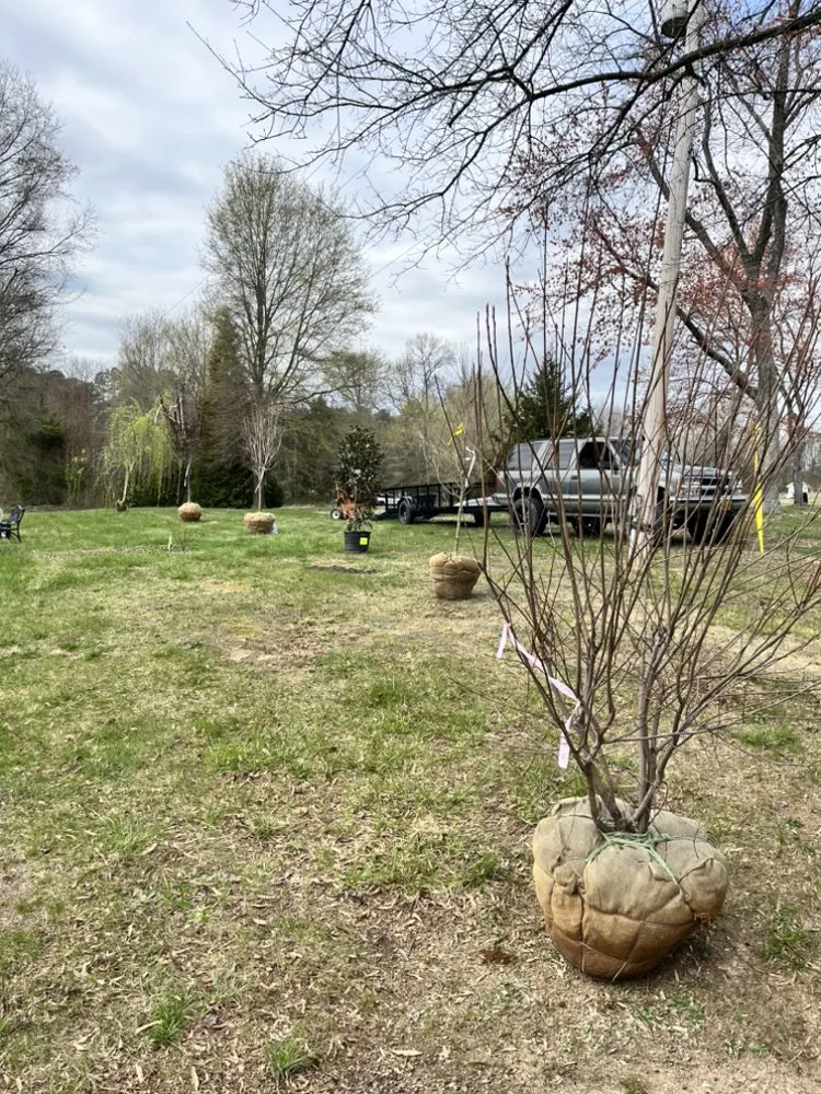 Reliable yard maintenance in Chesterfield, VA - J & J Landscaping