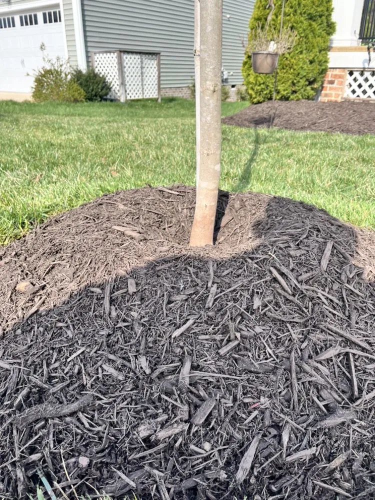 Top-rated yard cleanup service in Chesterfield, VA by J & J Landscaping