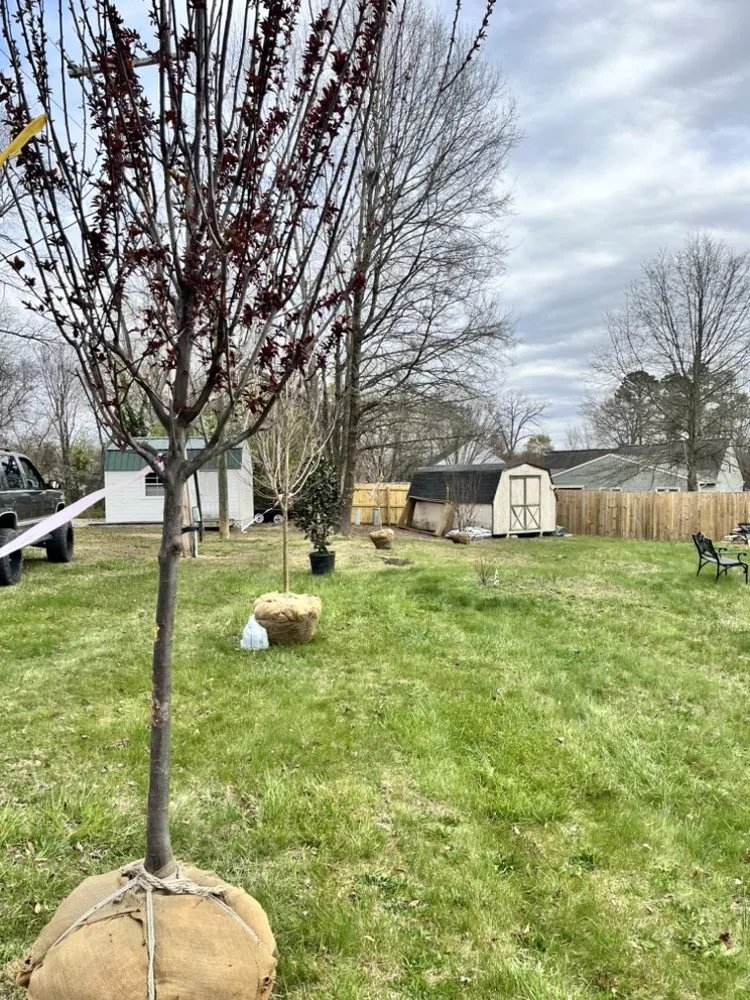 Local outdoor landscaping experts serving Chesterfield, VA - J & J Landscaping