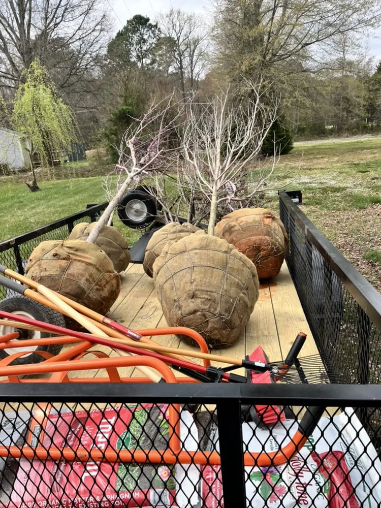 Expert landscaping services for residential properties across Chesterfield, VA - J & J Landscaping