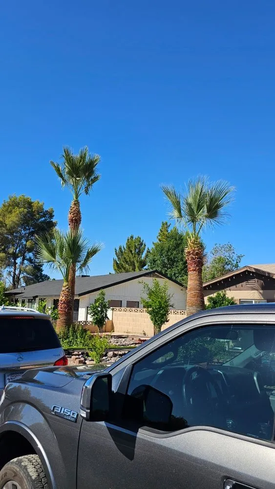 Reliable landscaping services in Phoenix, AZ - J & J Landscaping
