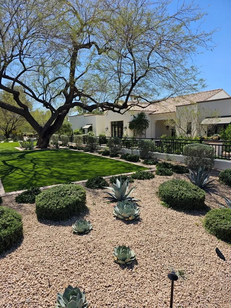 Reliable lawn care service for outdoor upgrades in Phoenix, AZ by J & J Landscaping