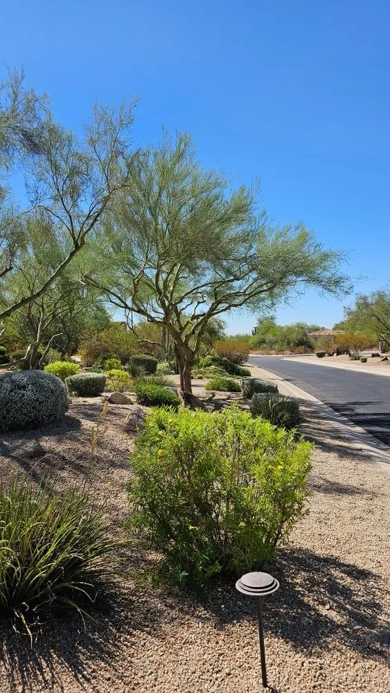 Top-rated residential landscaping for homes in Phoenix, AZ by J & J Landscaping
