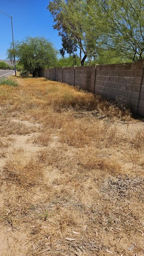 Reliable yard cleanup service for year-round maintenance in Phoenix, AZ by J & J Landscaping