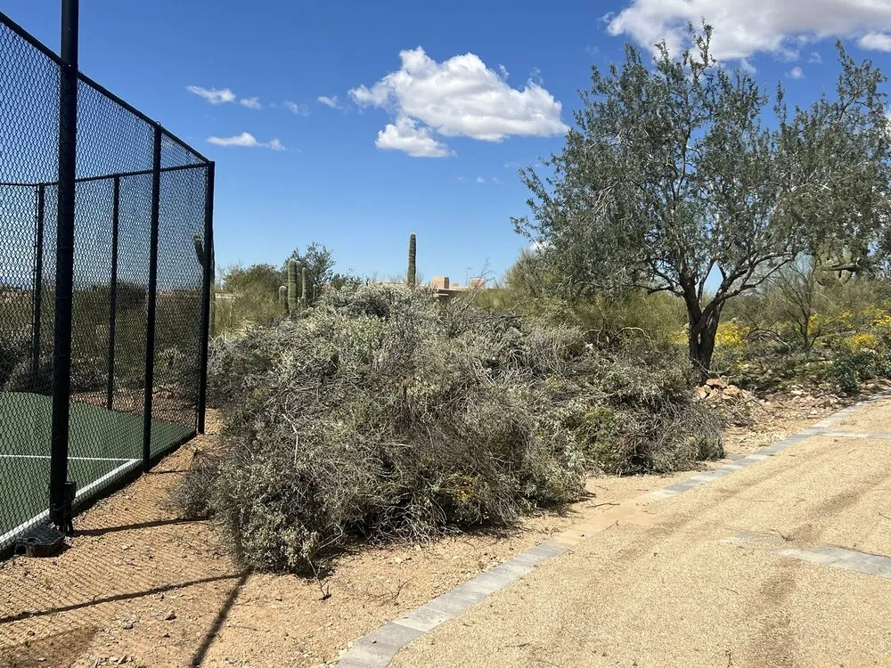 Local residential landscaping experts serving Phoenix, AZ - J & J Landscaping