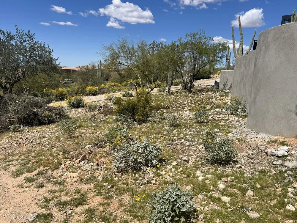 Top-rated lawn mowing service in Phoenix, AZ - J & J Landscaping