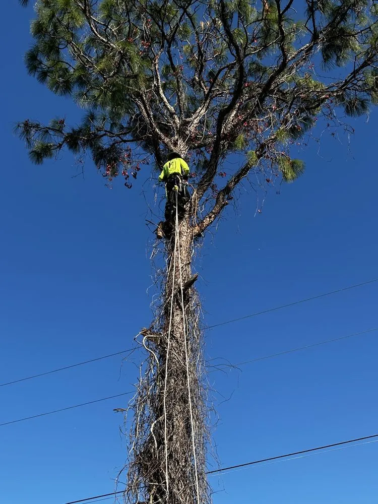 Custom garden landscaping for outdoor upgrades in Spring Hill, FL by J & J Lawn and Tree Service
