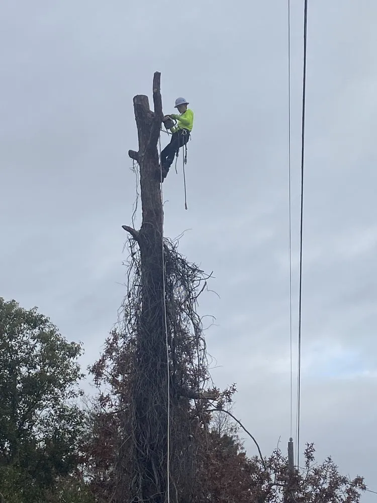 Trusted yard cleanup service for year-round maintenance across Spring Hill, FL - J & J Lawn and Tree Service