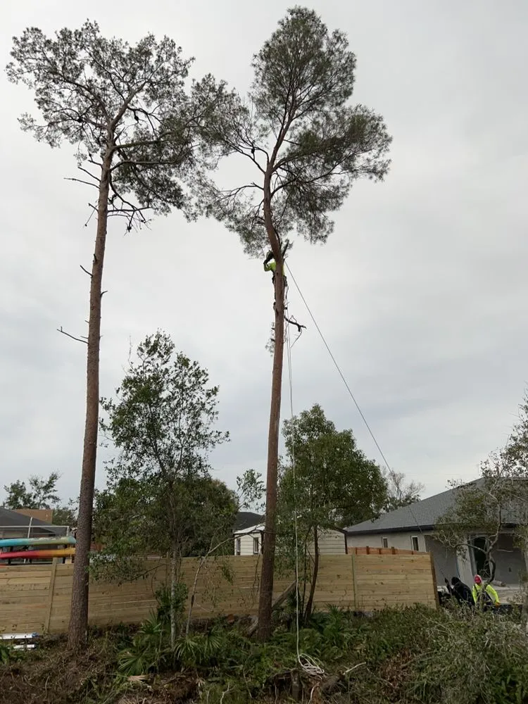 Affordable lawn care service for beautiful yards across Spring Hill, FL - J & J Lawn and Tree Service