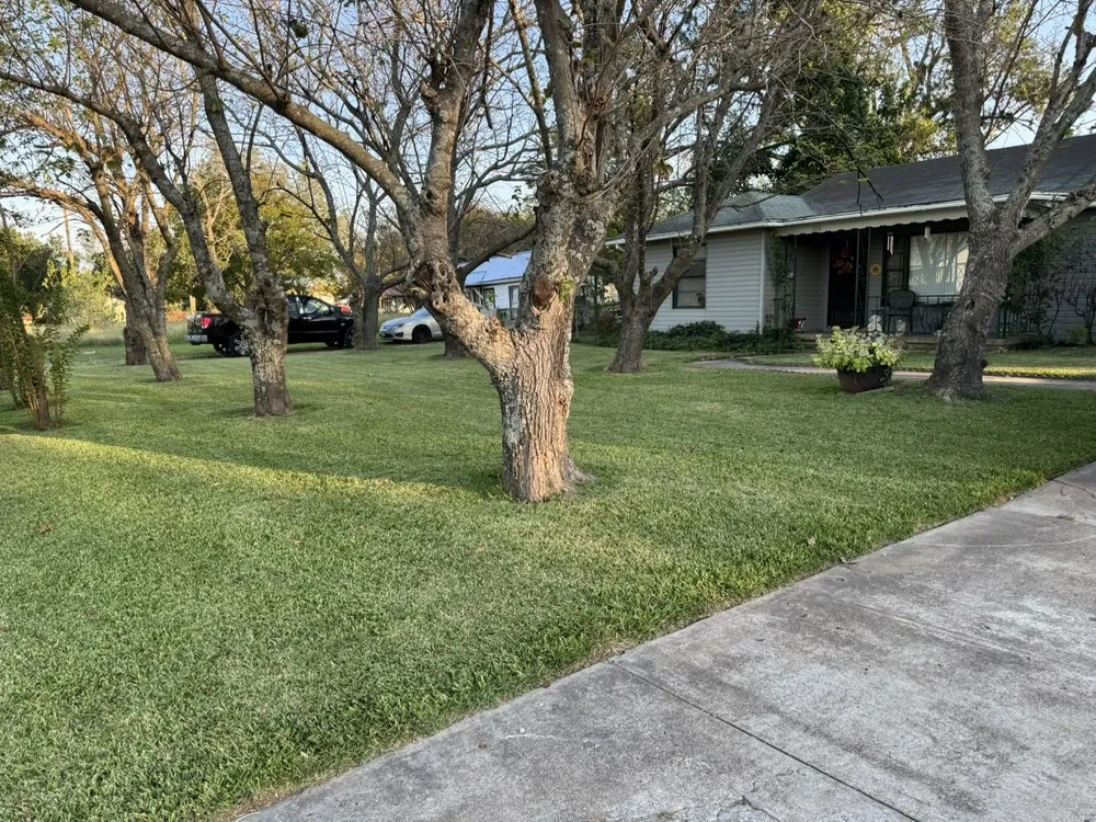 Custom garden landscaping for outdoor upgrades across Terrell, TX - J & J Lawn Care & Tree Service