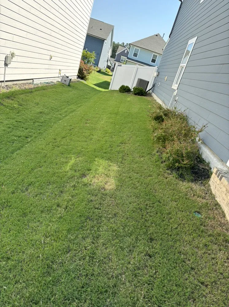 Professional lawn care service in Seagrove, NC by J & J lawn Care Services
