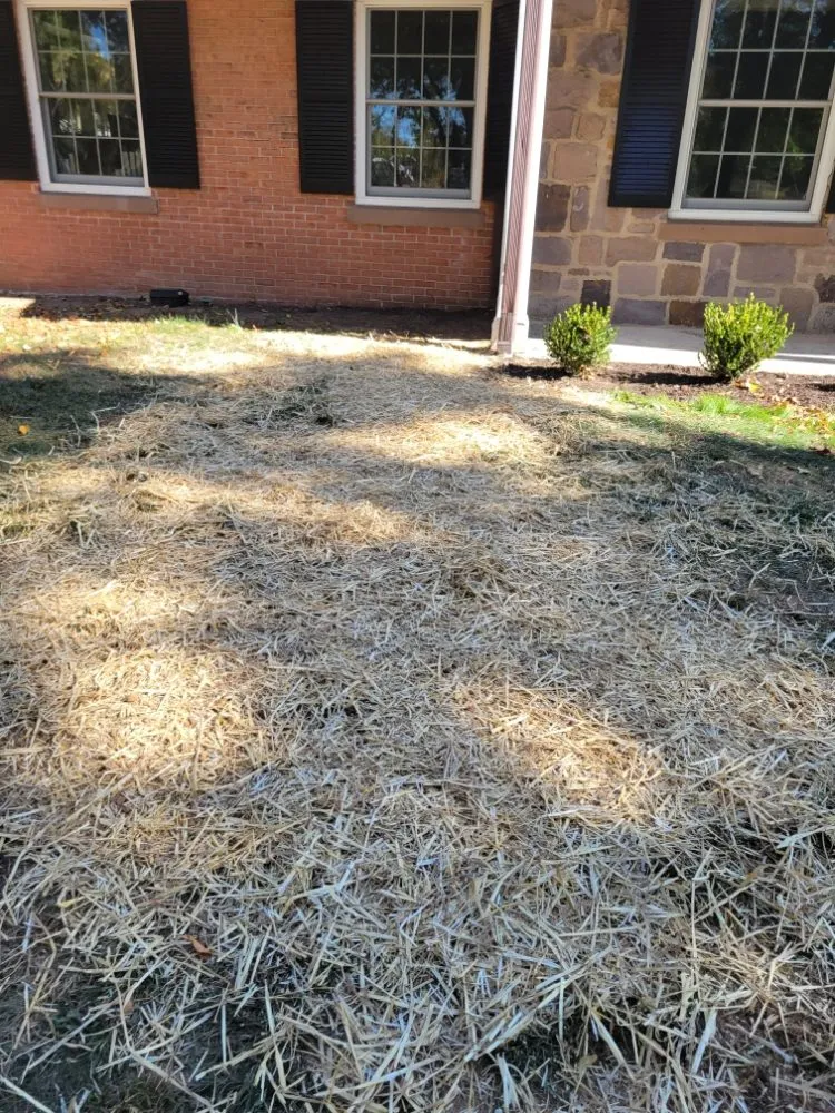 Expert outdoor landscaping in Trenton, NJ by J & J Lawn Service & Landscaping