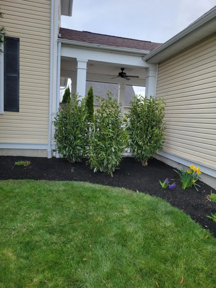 Reliable landscaping services in Trenton, NJ by J & J Lawn Service & Landscaping