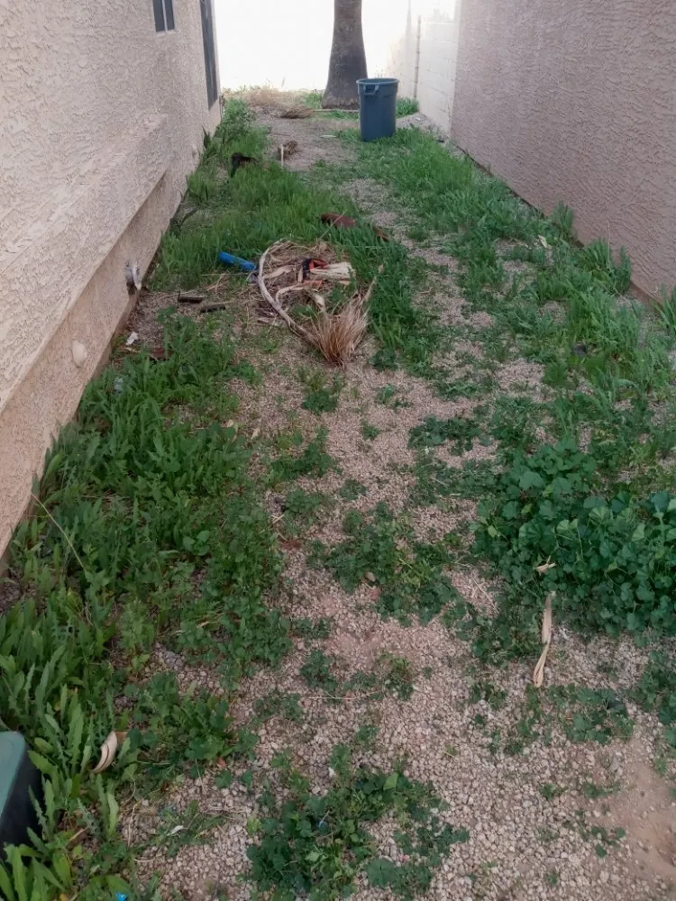 Trusted landscape design with custom design across Phoenix, AZ - J & J Lawncare