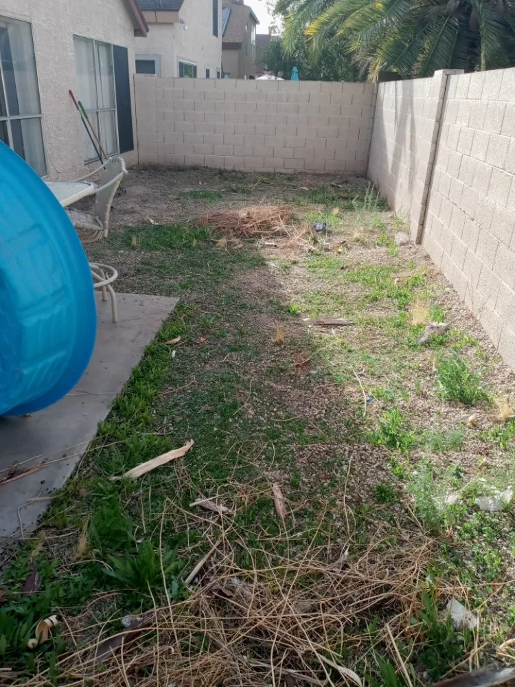 Reliable lawn mowing service with custom design in Phoenix, AZ by J & J Lawncare