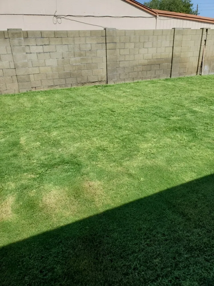 Top-rated yard maintenance with custom design across Phoenix, AZ - J & J Lawncare