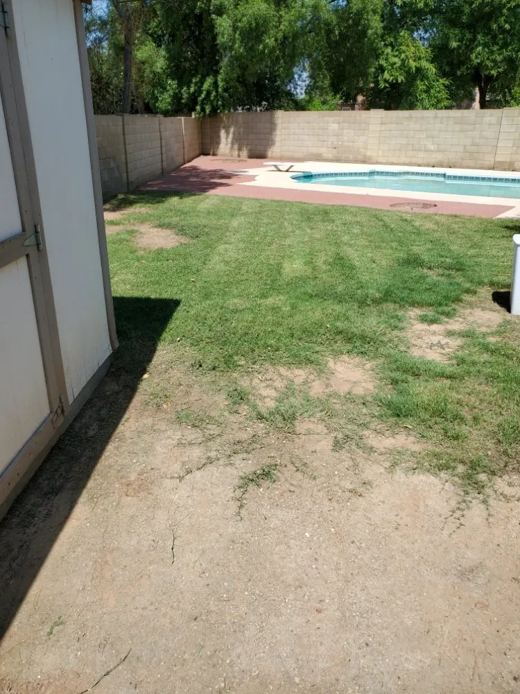 Custom yard cleanup service in Phoenix, AZ by J & J Lawncare