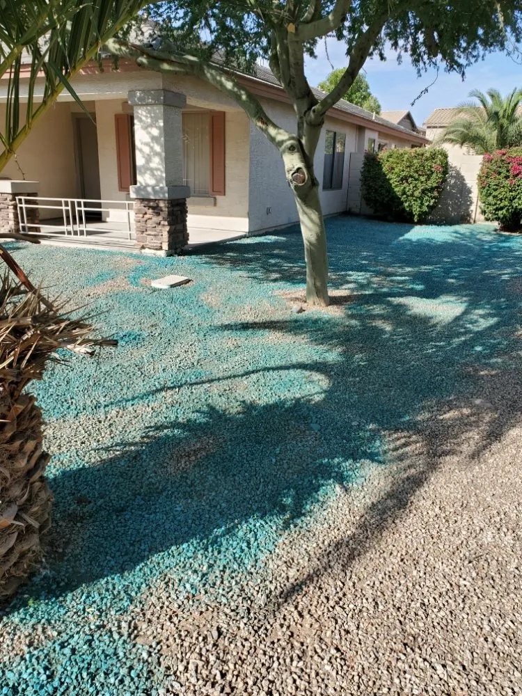 Custom lawn care service for year-round maintenance across Phoenix, AZ - J & J Lawncare