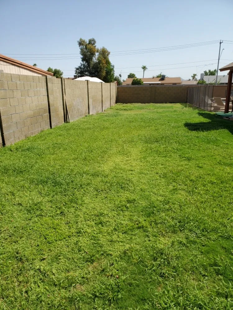 Professional lawn care service in Phoenix, AZ - J & J Lawncare