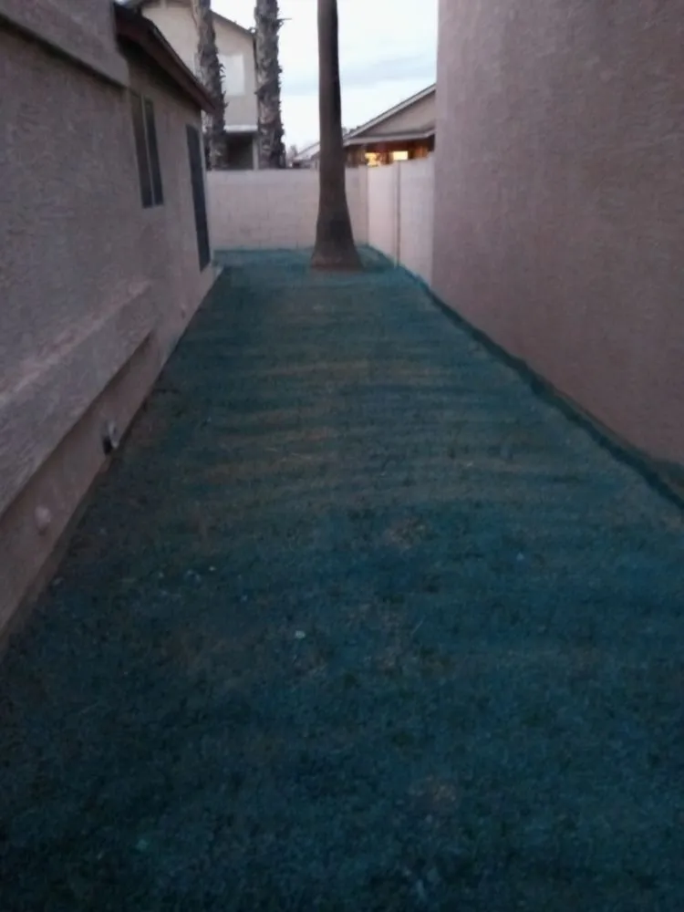 Expert lawn care service for beautiful yards in Phoenix, AZ by J & J Lawncare