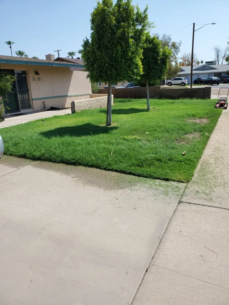 Custom landscaping services experts serving Phoenix, AZ - J & J Lawncare