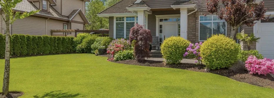 Reliable lawn care service in Rock Hill, SC by J & J Lawncare