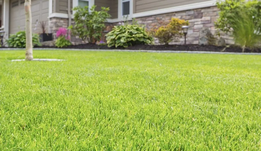 Affordable landscape installation in Rock Hill, SC - J & J Lawncare