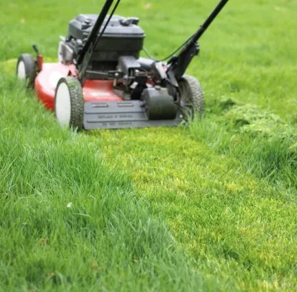 Top-rated landscape installation in Rock Hill, SC - J & J Lawncare