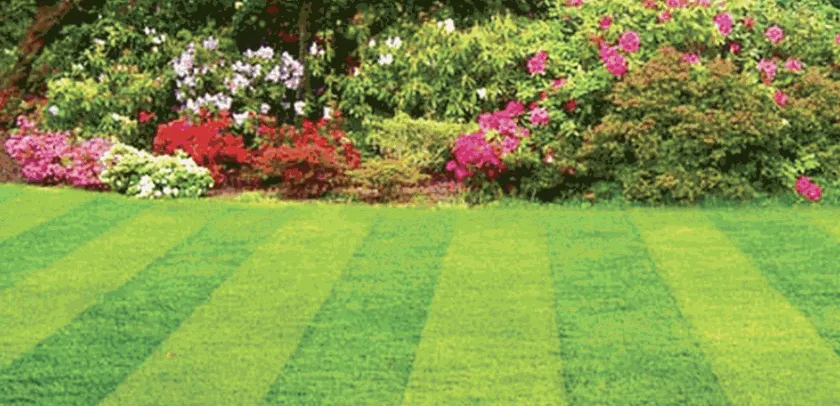 Custom yard maintenance experts serving Rock Hill, SC - J & J Lawncare