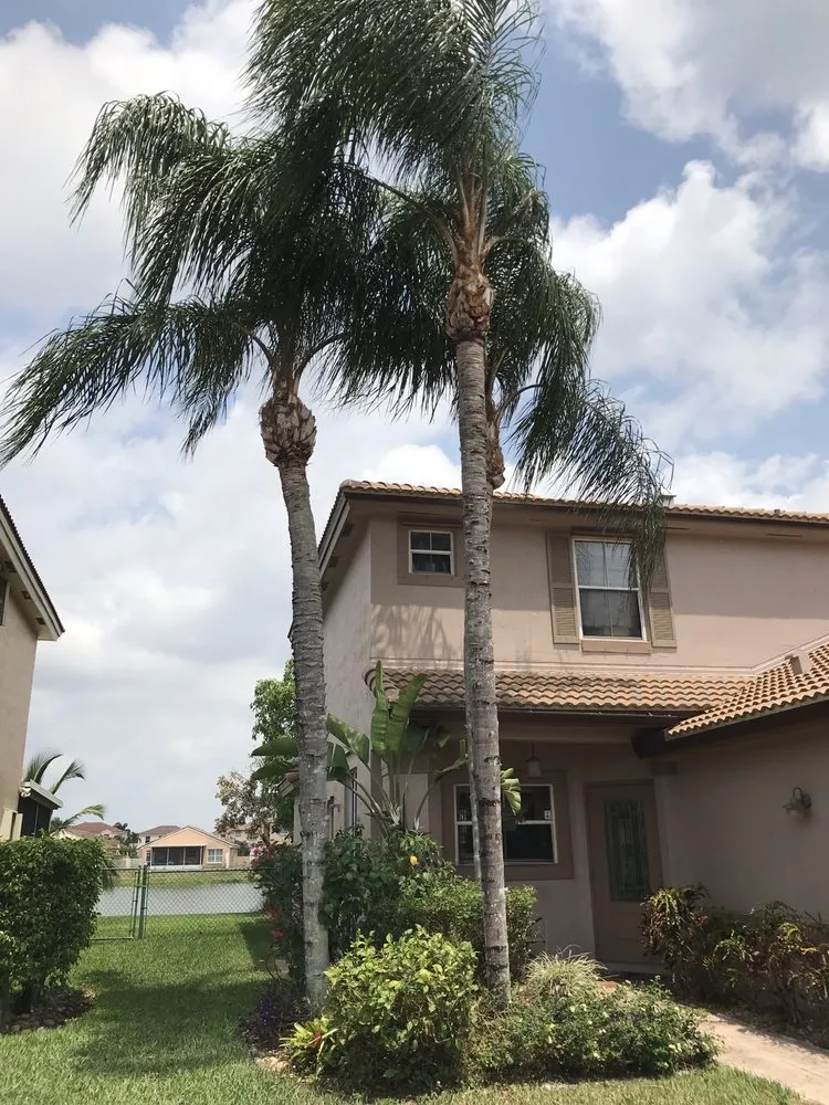 Trusted lawn mowing service experts serving Plantation, FL - J & J The Tree Doctor