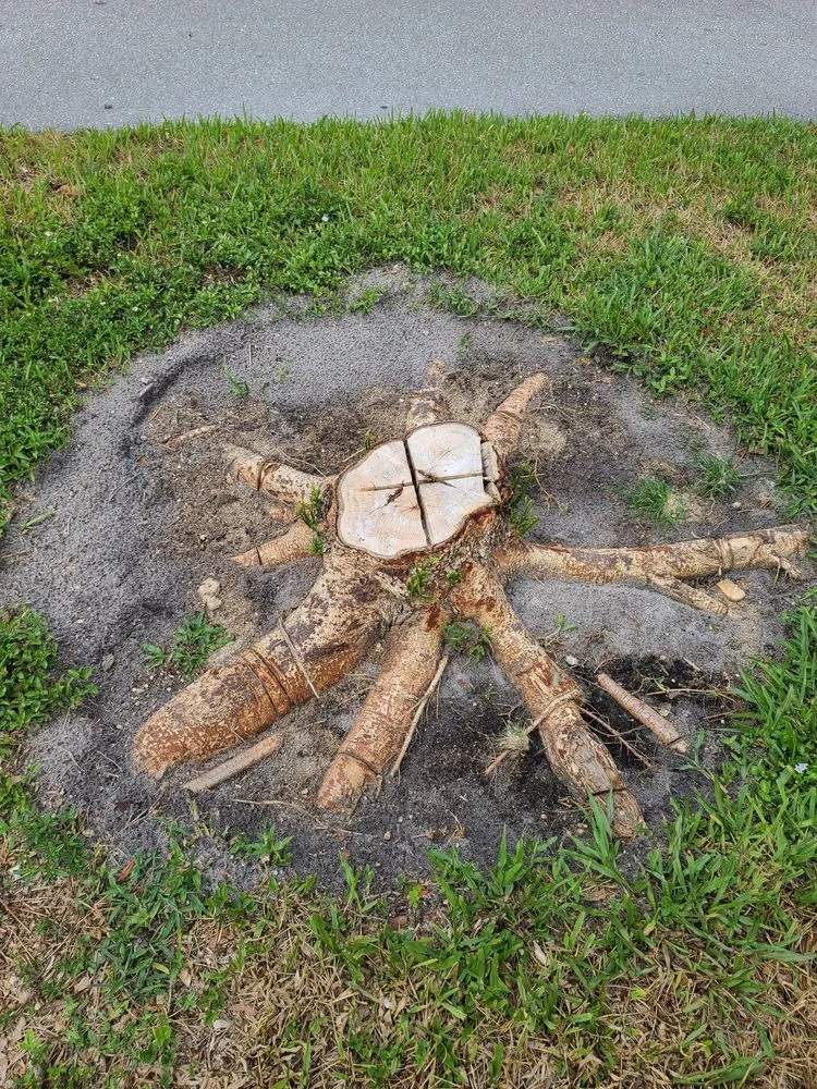 Custom garden landscaping for year-round maintenance across Plantation, FL - J & J The Tree Doctor