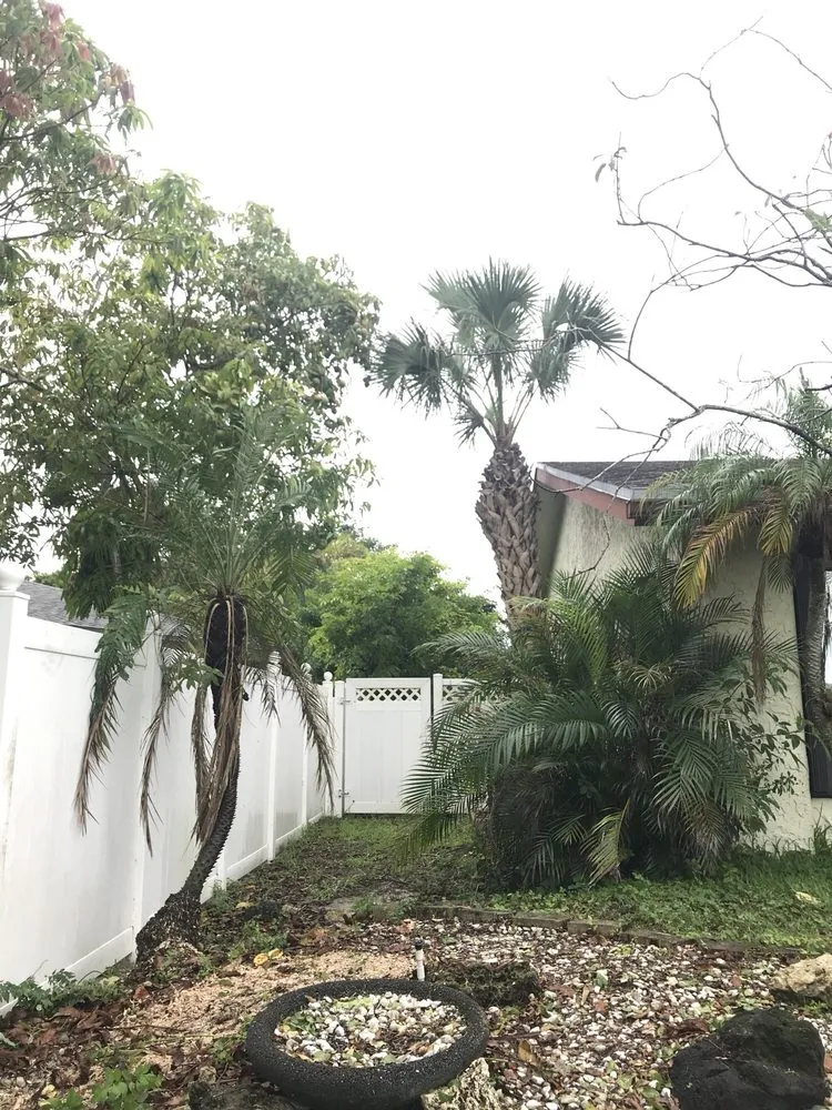 Top-rated yard cleanup service in Plantation, FL - J & J The Tree Doctor
