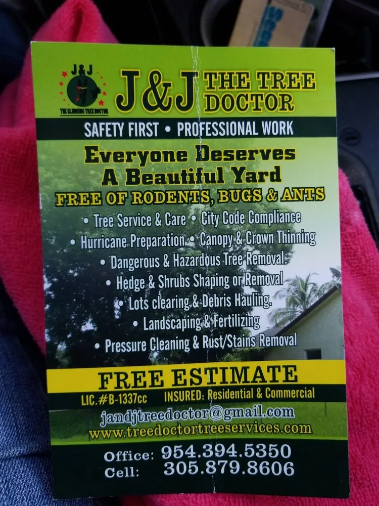 Professional yard maintenance for year-round maintenance across Plantation, FL - J & J The Tree Doctor
