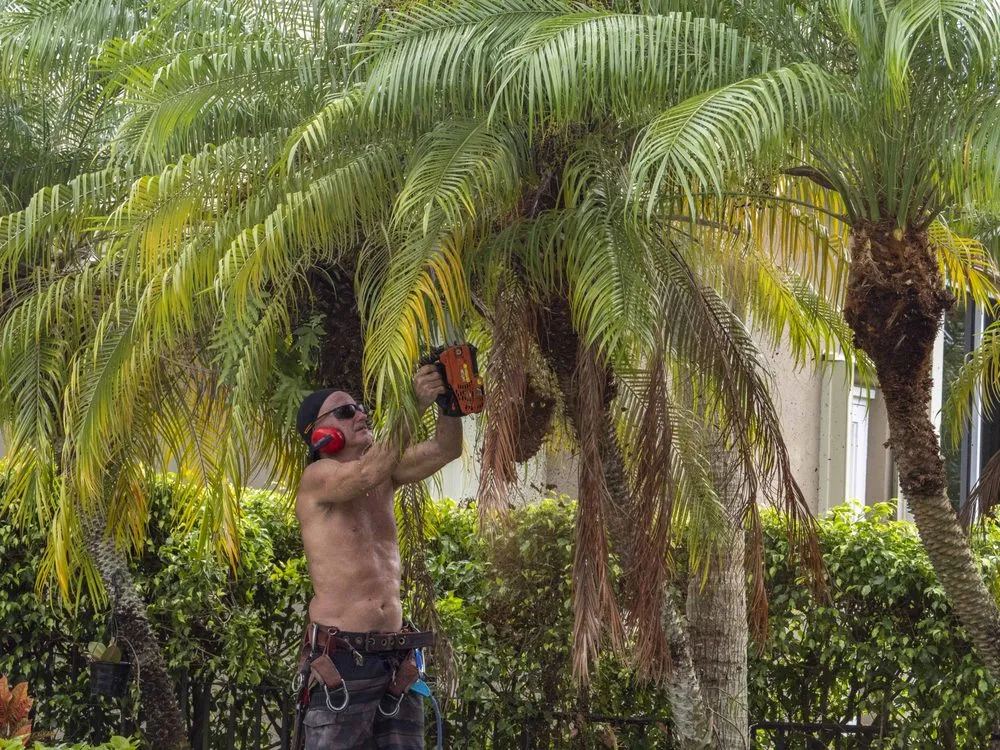 Reliable outdoor landscaping in Plantation, FL by J & J The Tree Doctor