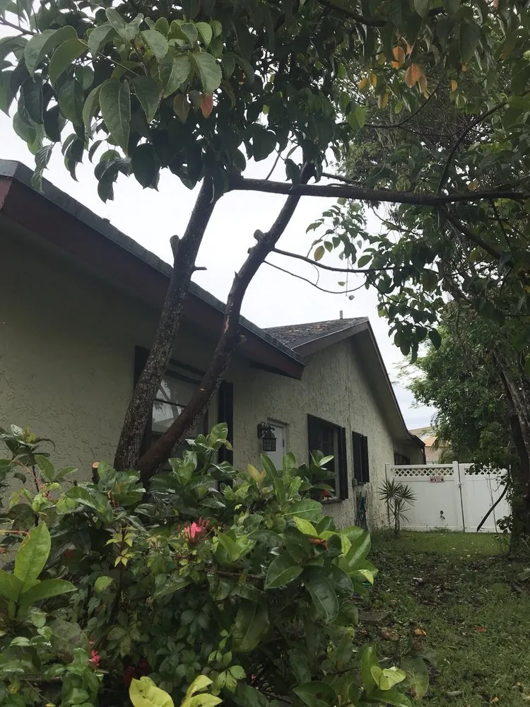 Custom outdoor landscaping in Plantation, FL by J & J The Tree Doctor