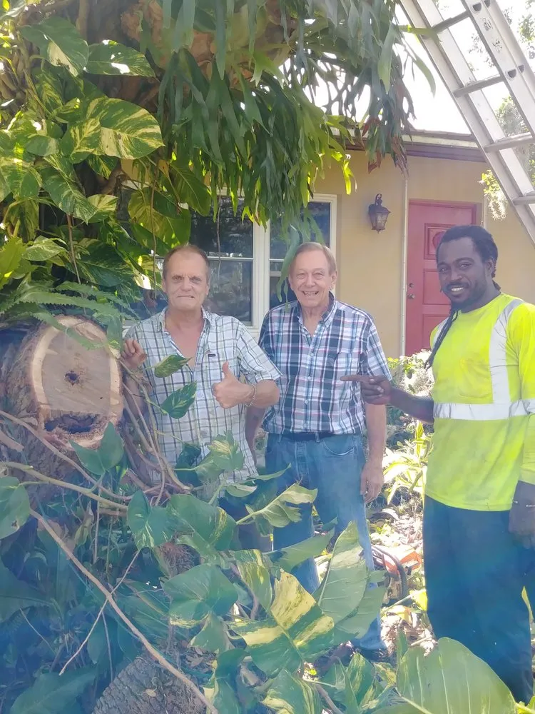 Professional residential landscaping for outdoor upgrades in Plantation, FL by J & J The Tree Doctor